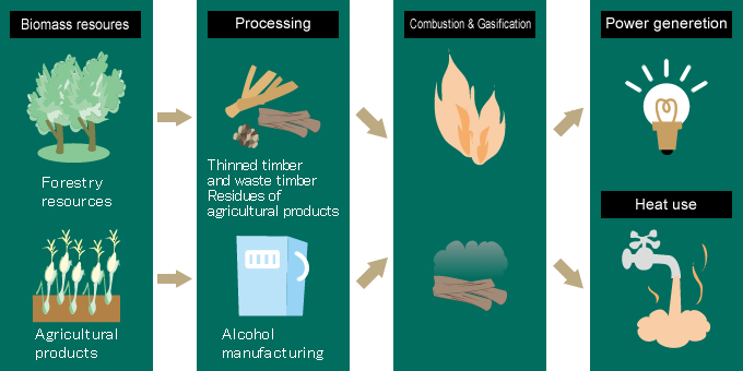 Flowchart of biomass resource becoming energy: Biomass resource → Processing (thinning wood, waste wood, agricultural residue, alcohol production) → Combustion/gasification → Power generation/heat utilization.