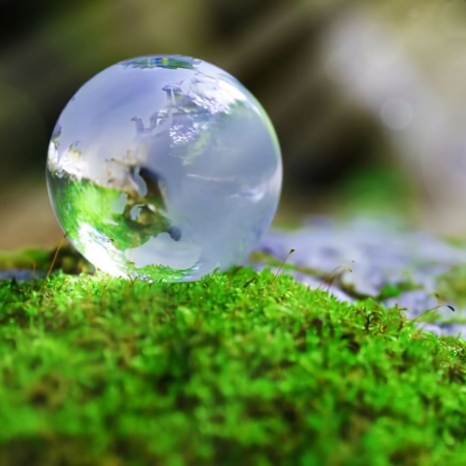 A glass earth bathed in the sunlight on moss