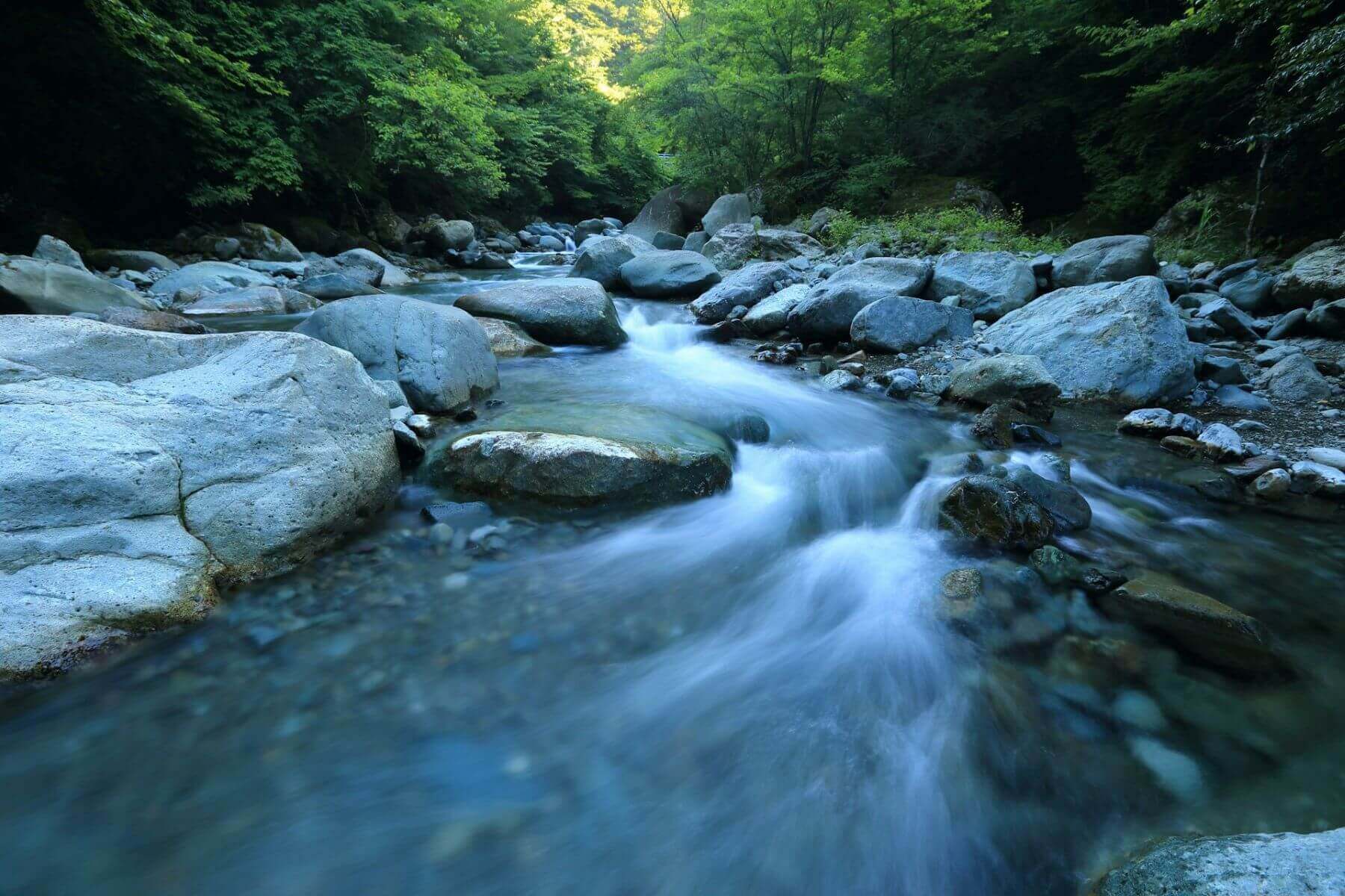 森の中を流れる川